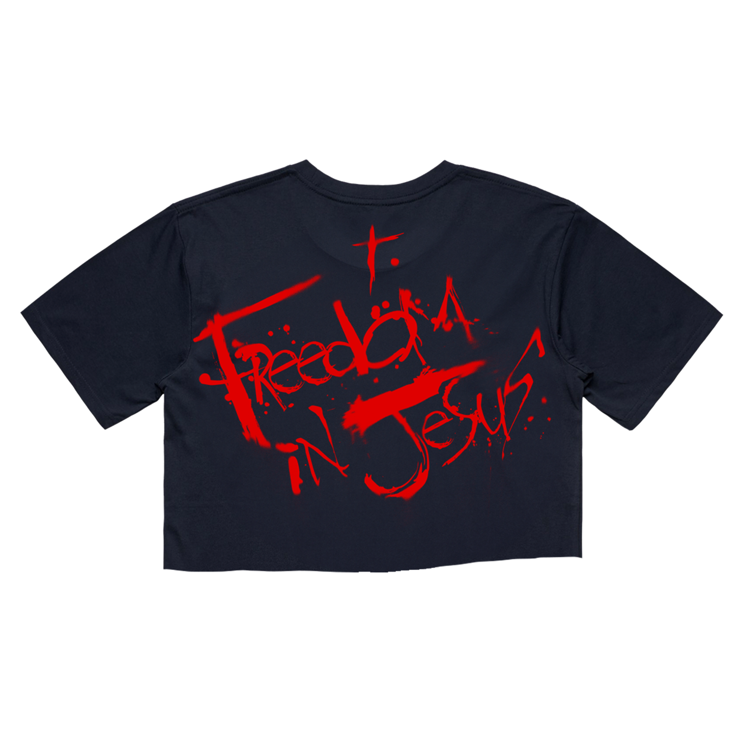 Freedom in Jesus Steadman Cropped Tee