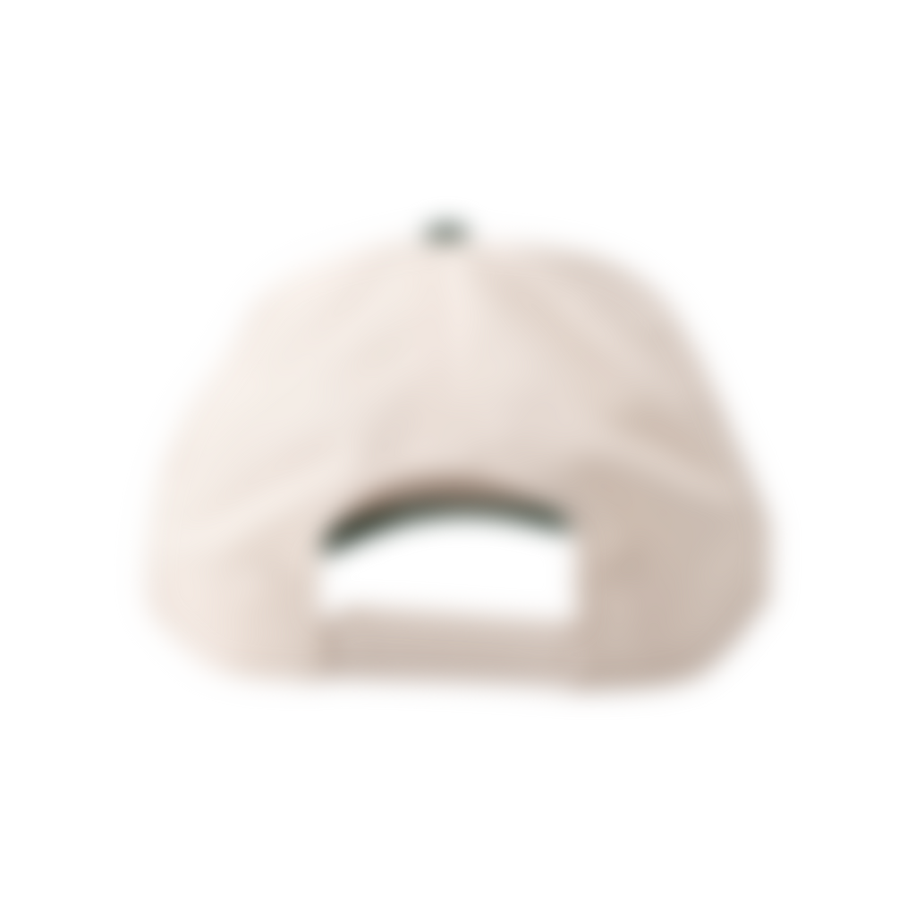 Jesus Saved Mtn Hat
