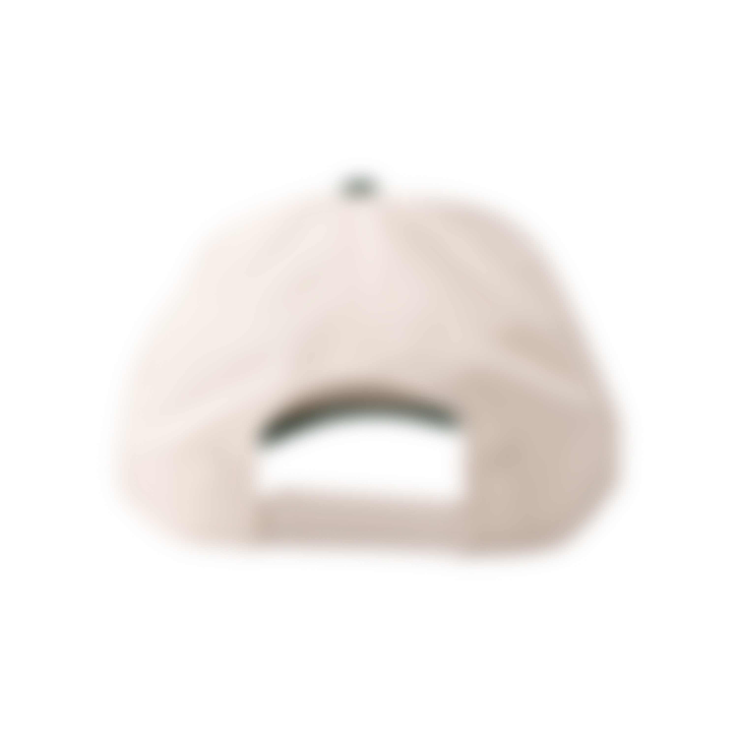 Jesus Saved Mtn Hat