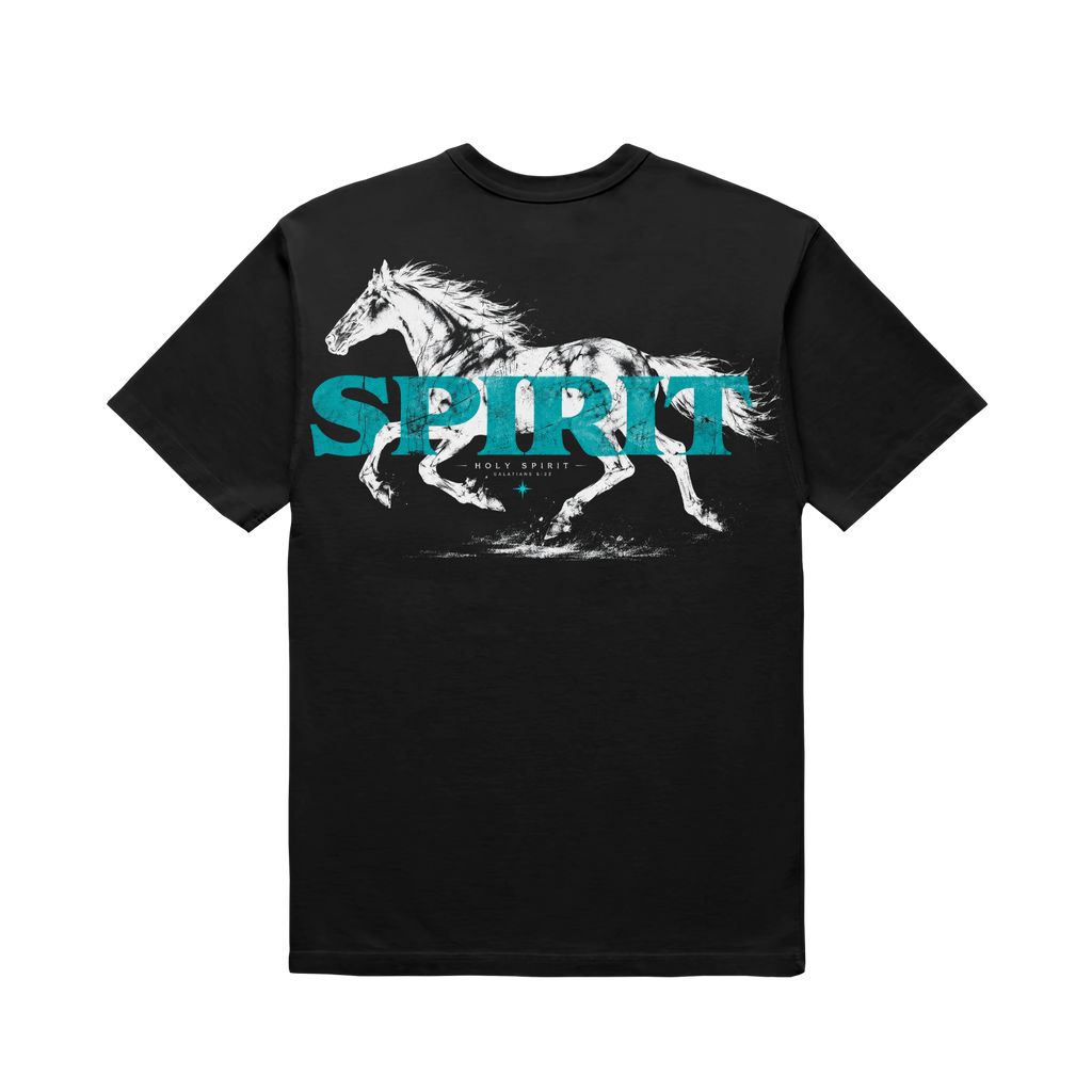 Fruit of the Spirit Relaxed Tee