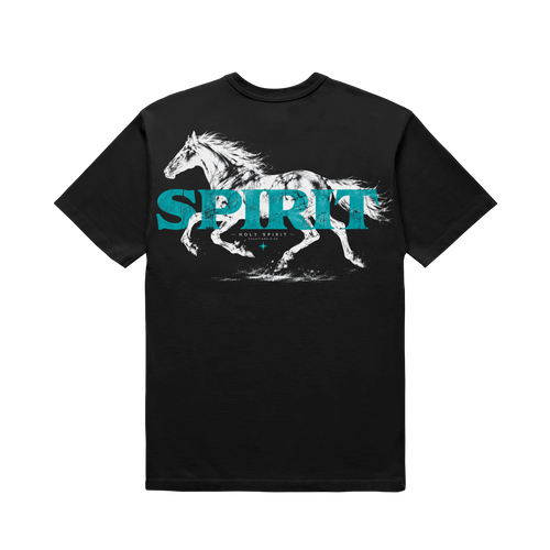 Fruit of the Spirit Relaxed Tee